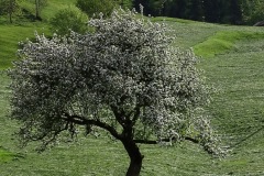 06 Eindrücke unterwegs 04