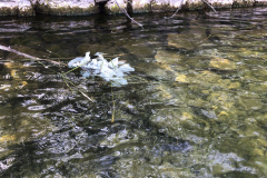 07 Boote im Einsatz 02